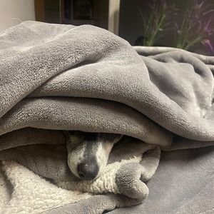 Meet your Posher, Giovanni